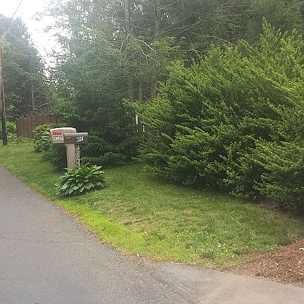 Looking east from driveway