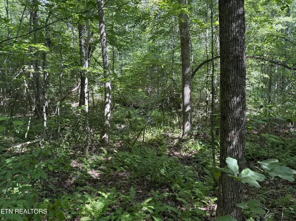 18 Laurel Loop Lot 18, Monterey, TN 38574