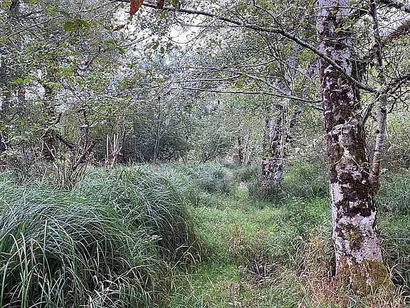 2nd image of Nna Dellmoor Loop