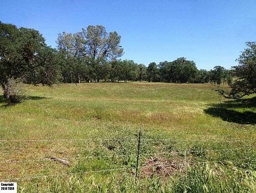 5th image of 10151 Piney Creek Rd