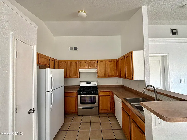 12501 Sombra Fuerte Dr — Photo 7