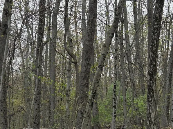 8847 Bake Oven Rd, Germansville, PA 18053