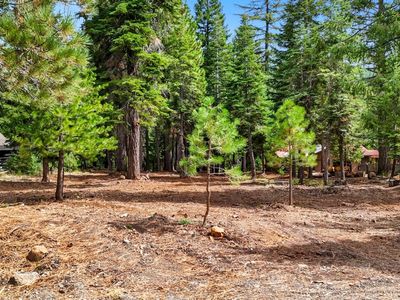 3840 Mary Ann Ln, Lake Almanor, CA, 96137