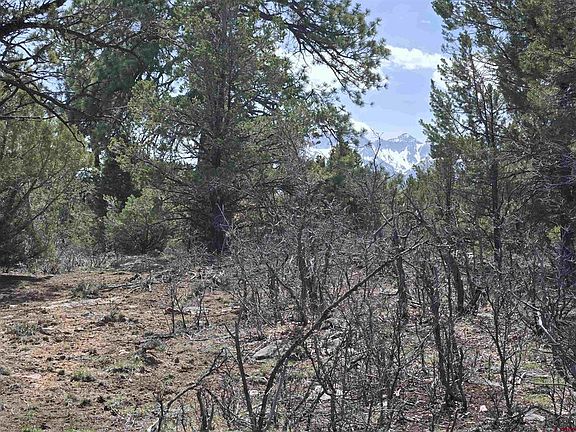 2nd image of TBD Cottontail Lane