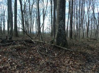 5 Bluebird Ln, Hico, WV 25854