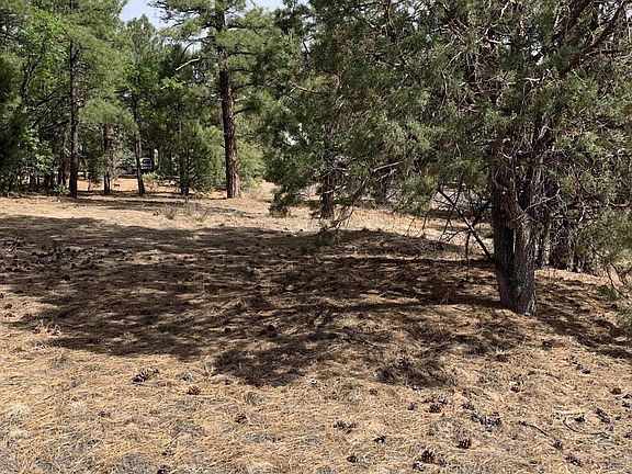 5th image of 3720 Country Club Dr