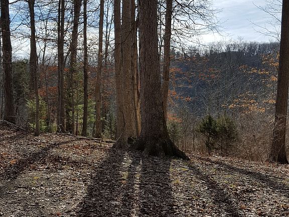 2nd image of 116 Deer Ln
