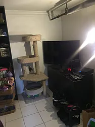 Rented by Metroline Realty