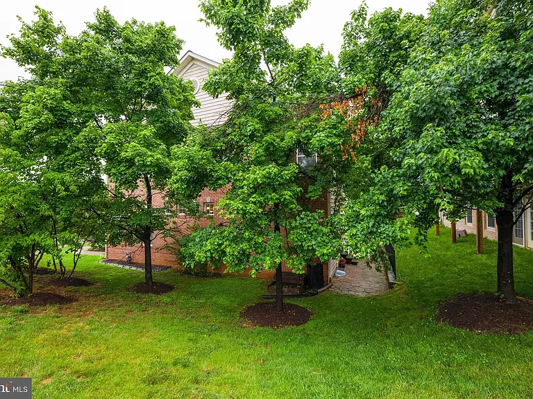 Tree-lined for privacy