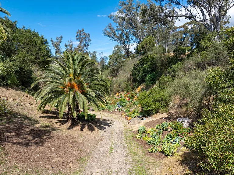 655 Coyote Rd — Photo 29