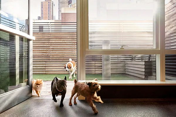 Rented by Douglas Elliman | media 21