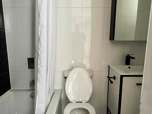 Rented by Premier One Realty LLC | media 15