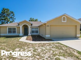 12010 Elgin Blvd, Spring Hill, FL 34608