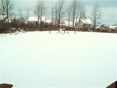 3rd image of 3489 Magnolia Dr