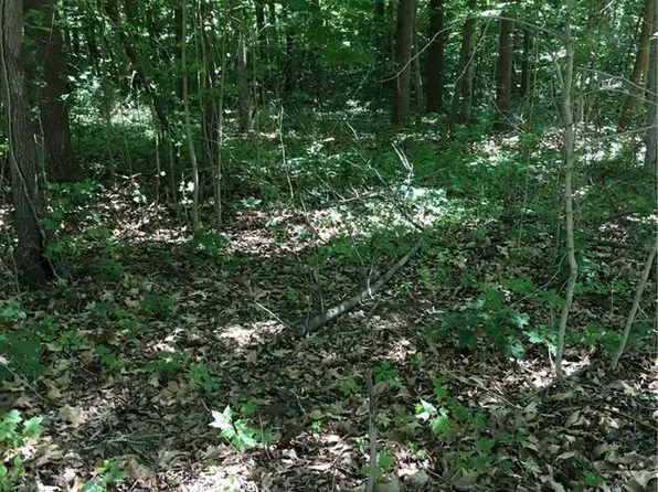 3407 Hancock Ridge Rd, Martinsville, IN 46151