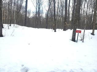 11127 E Halsey Lake Rd, Long Lake, WI 54542