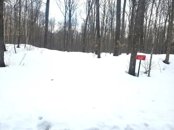 11127 E Halsey Lake Rd, Long Lake, WI 54542