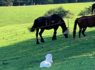 1293 Vernon Ln, Blue Ridge, VA 24064