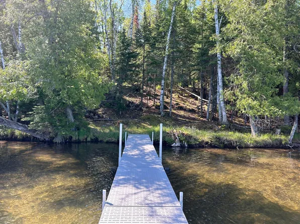 38938 Matt Zimmer Rd, Bigfork, MN 56628