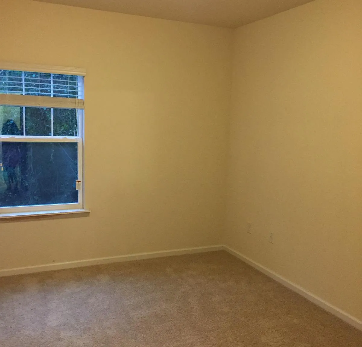 Key Lime 4958 #206 - 206 — Photo 3