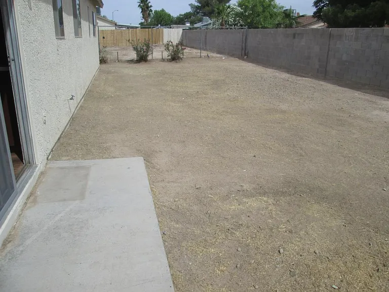 Backyard