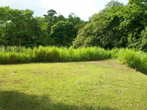 Cotto Mabu, Humacao, PR 00791