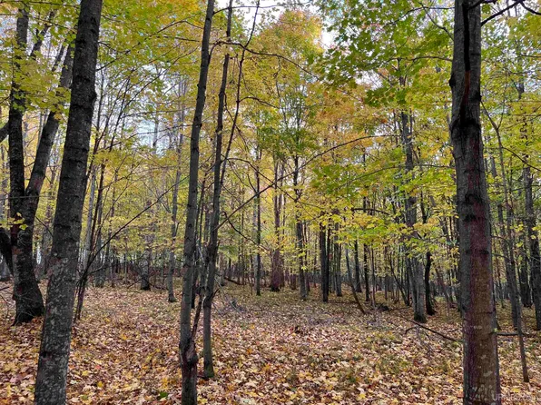 6 Porcupine Lake Rd, Long Lake, WI 54542