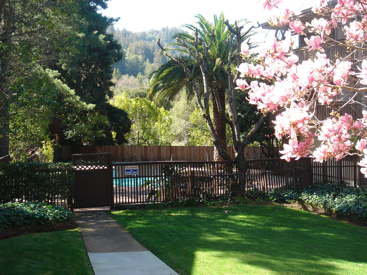 Pine Lane Residential LLC — Photo 4