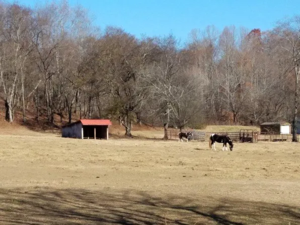 3917 Johnson Hollow Rd, Thompsons Station, TN 37179