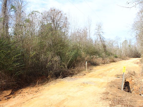2nd image of CR 216
