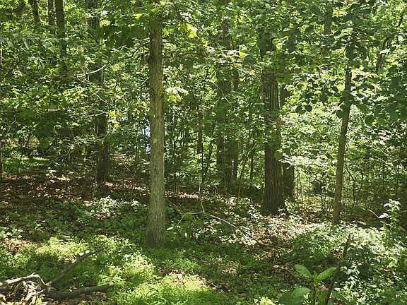 4th image of 157 Overlook Cv