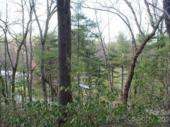 0 Green St, Saluda, NC 28773