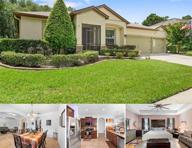 541 Morgan Wood Dr, Deland, FL, 32724