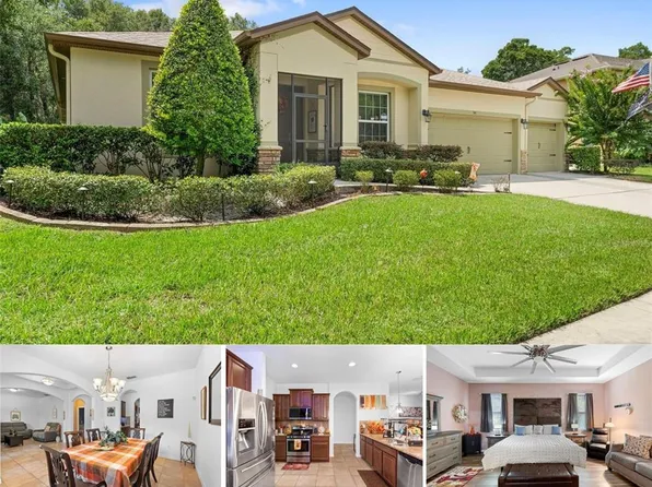 541 Morgan Wood Dr, Deland, FL 32724