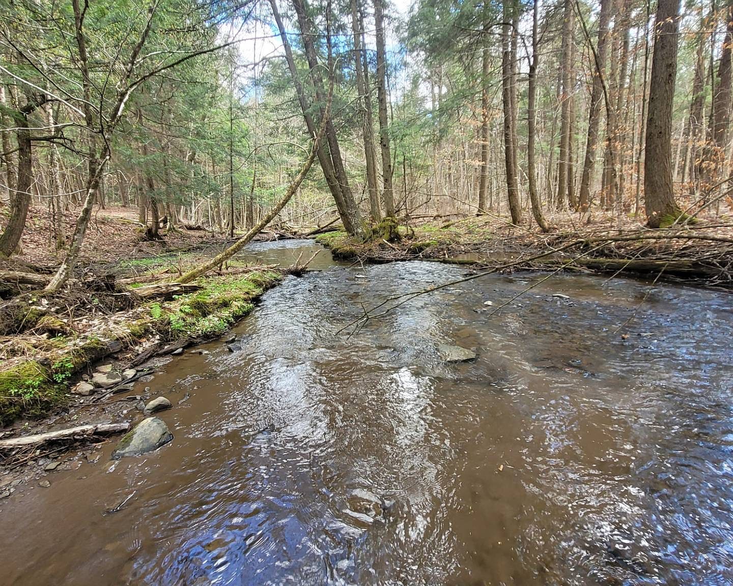 4484 State Highway 205, Oneonta, NY 13820 MLS 11159753 Zillow