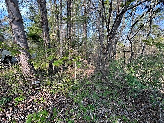 1st image of Pine Hollow Rd