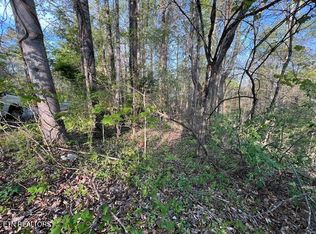 Pine Hollow Rd, Jacksboro, TN 37757