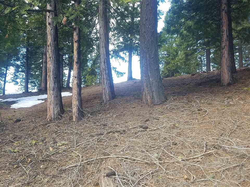 2nd image of 116 Top Of The West Dr
