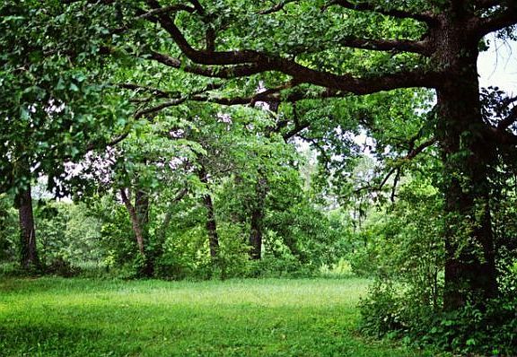 Beautiful 3.1 acres