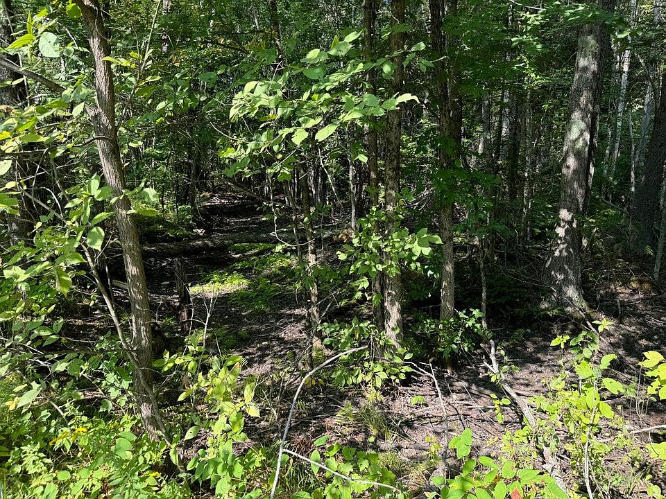 2nd image of Lot 4+5 Fisher Drive