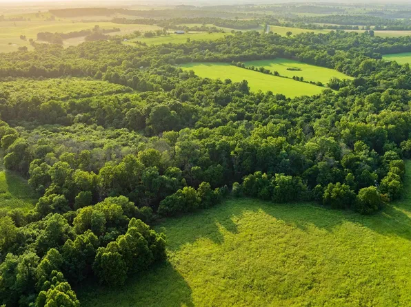 24 Old Mill Lane, South Greenfield, MO 65752