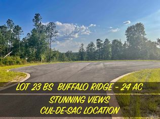 LOT 23 Buffalo Ridge Rd, Milton, FL 32571