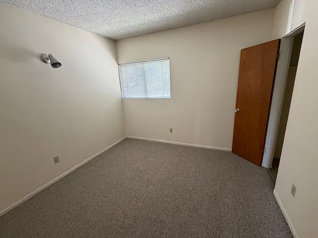 2004 Apex Ave — Photo 16