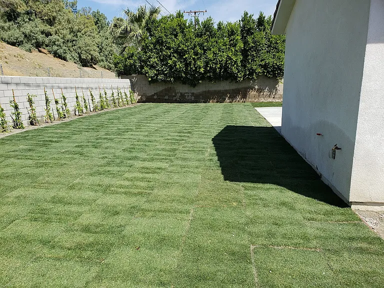 27175 Ventura Dr — Photo 4