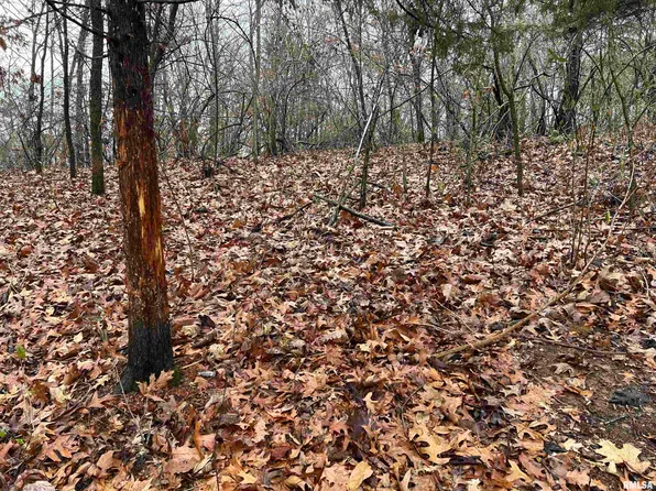 Rr N Tarters Ferry Ln, Table Grove, IL 61482