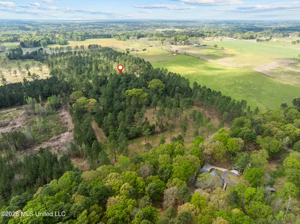 Coal Town Rd, Purvis, MS 39475