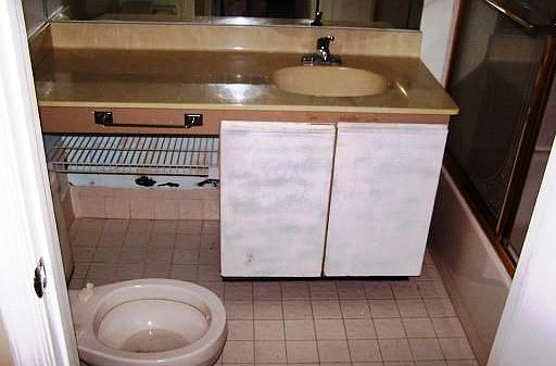 3rd image of 305 Freedom Ct