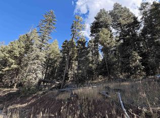 38 Vail Ave, Angel Fire, NM 87710