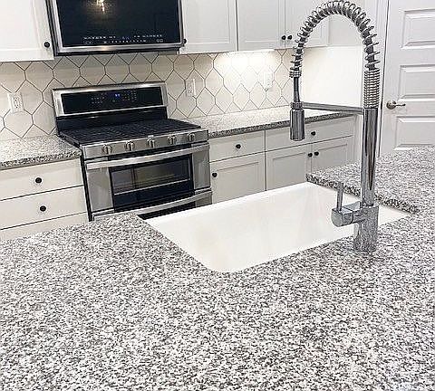 Farmhouse Sink and Faucet