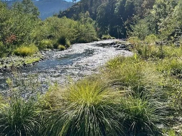 Cow Creek Rd, Dillard, OR 97432